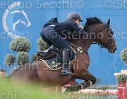 Arioldi F Ambra TosTour 2013- S4 6590 : Ambra, Arezzo Equestrian Centre, Arioldi Francesca, Toscana Tour 2013, foto di Stefano Secchi ©